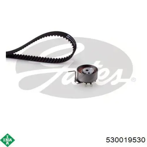 Comprar 530019530 INA Kit de correa de distribución