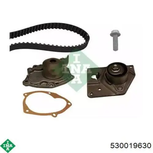 Comprar 530019630 INA Kit de correa de distribución