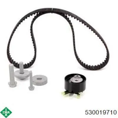 Kit de distribución 530019710 INA