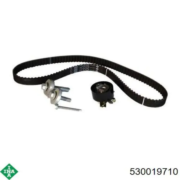 Juego de correas dentadas INA 530019710 precio, desde 119,58 EUR