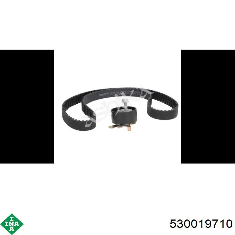 Kit distribución INA 530019710