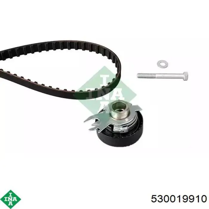 Comprar 530019910 INA Kit de correa de distribución