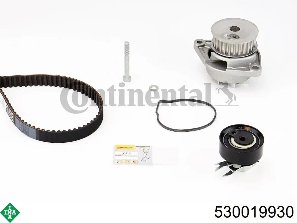 Kit de distribución 530019930 INA