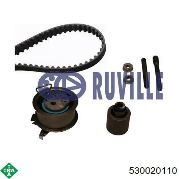 Kit de distribución 530020110 INA