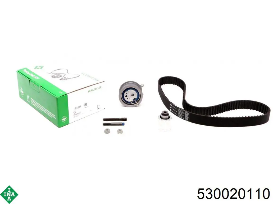 Kit distribución INA 530020110