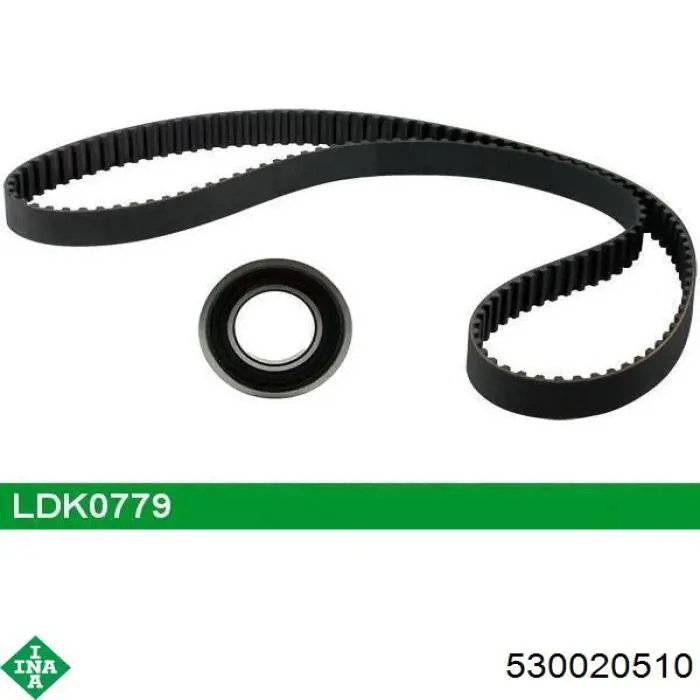 Kit de distribución 530020510 INA