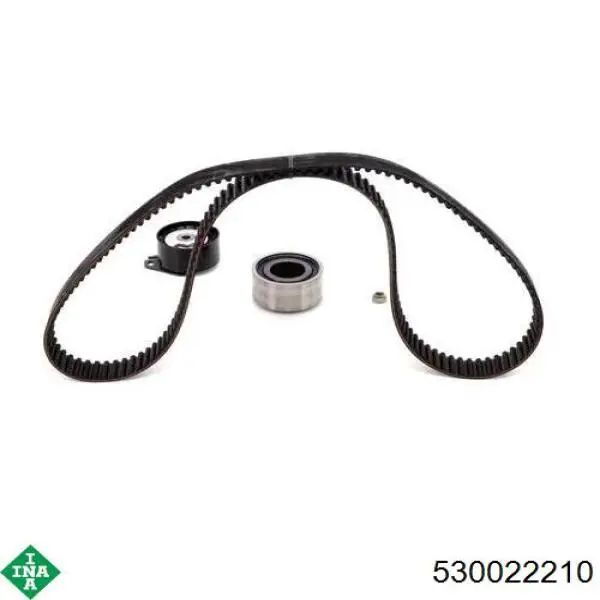 Juego de correas dentadas INA 530022210 precio, desde 142,15 EUR