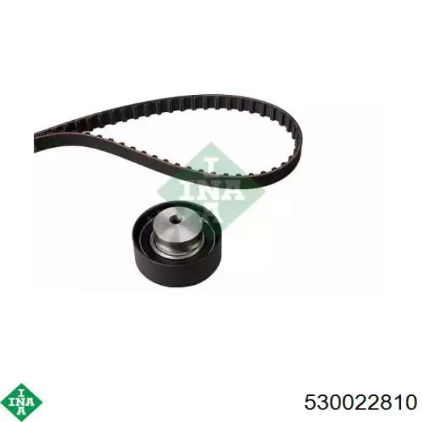 Comprar 530022810 INA Kit de correa de distribución