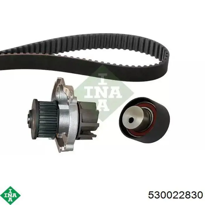 Comprar 530022830 INA Kit de correa de distribución