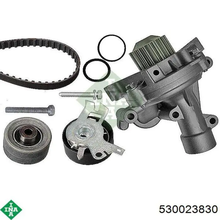 Kit de distribución 530023830 INA