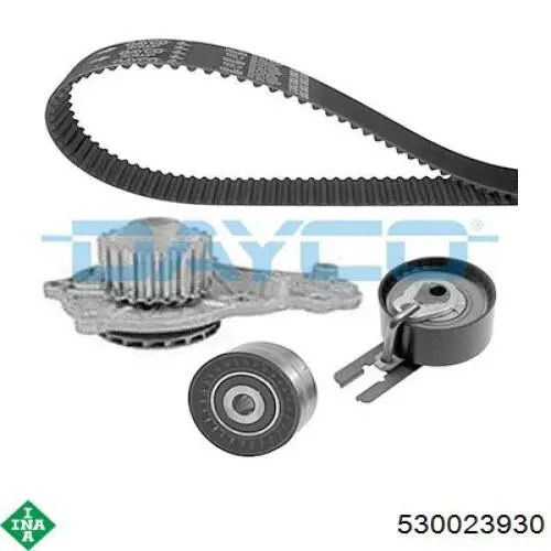 Kit de distribución 530023930 INA