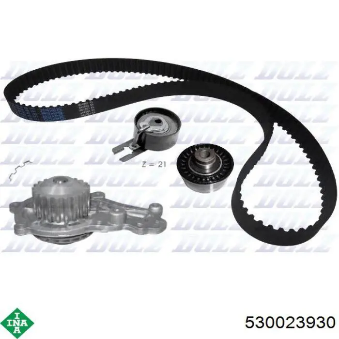 Kit distribución INA 530023930