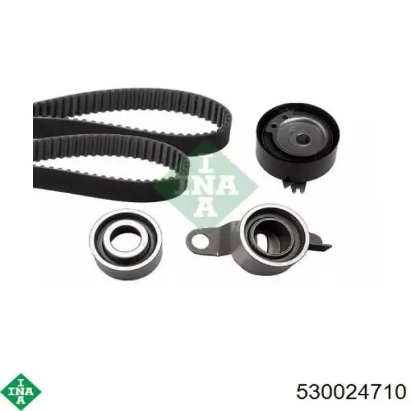 Kit de distribución 530024710 INA