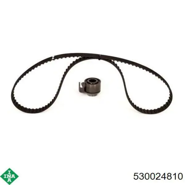 Juego de correas dentadas INA 530024810 precio, desde 105,95 EUR