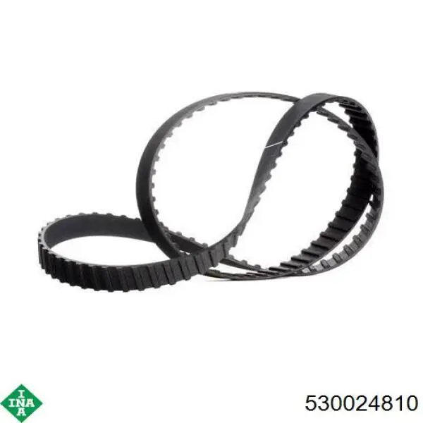 Comprar 530024810 INA Kit de correa de distribución