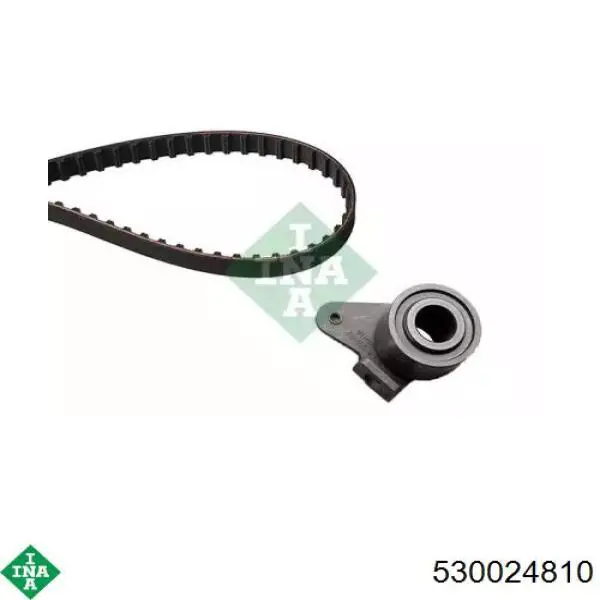 Kit de distribución 530024810 INA