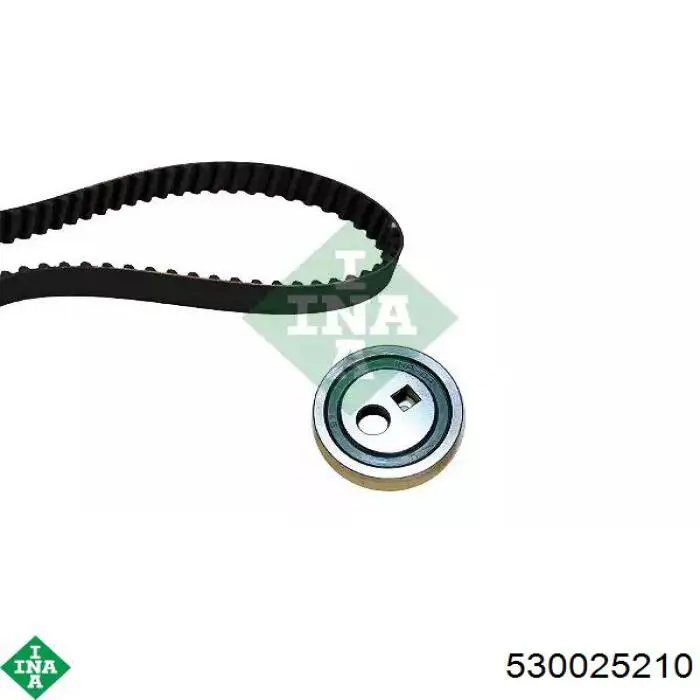 Comprar 530025210 INA Kit de correa de distribución