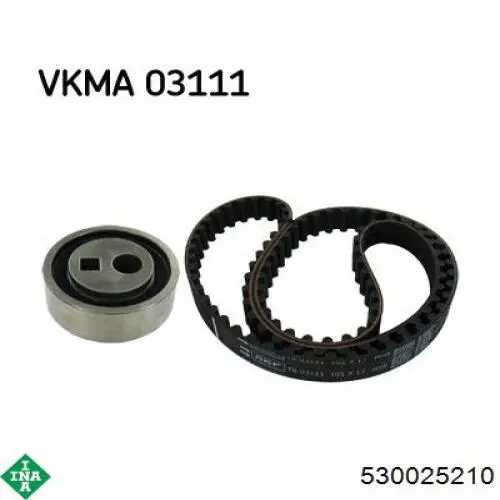 530025210 INA Kit correa de distribución