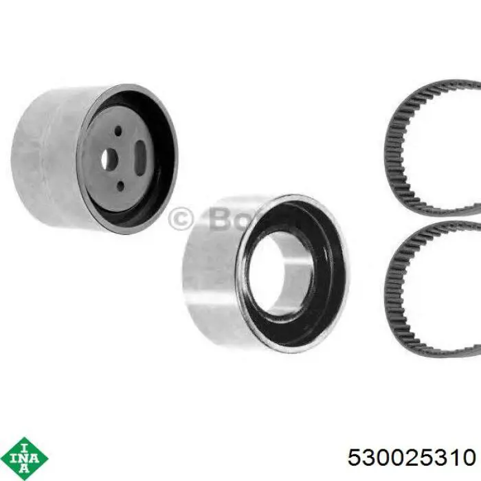 Comprar 530025310 INA Kit de correa de distribución