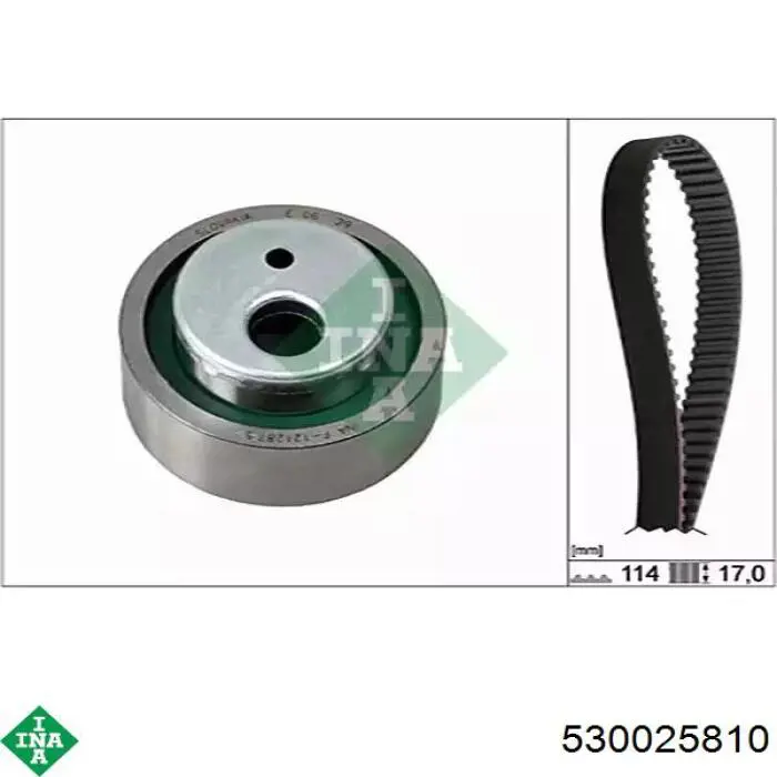 Comprar 530025810 INA Kit de correa de distribución