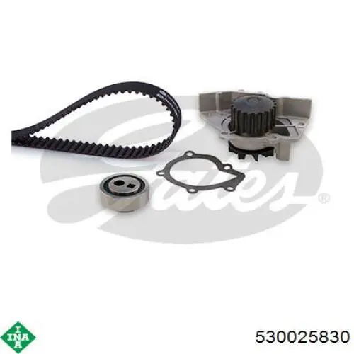 Comprar 530025830 INA Kit de correa de distribución