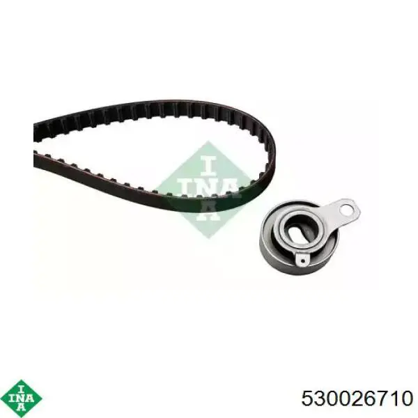 Comprar 530026710 INA Kit de correa de distribución