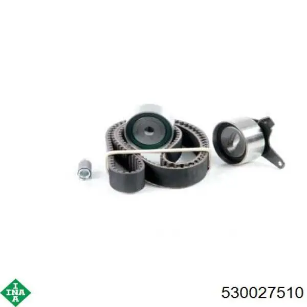 Kit distribución INA 530027510