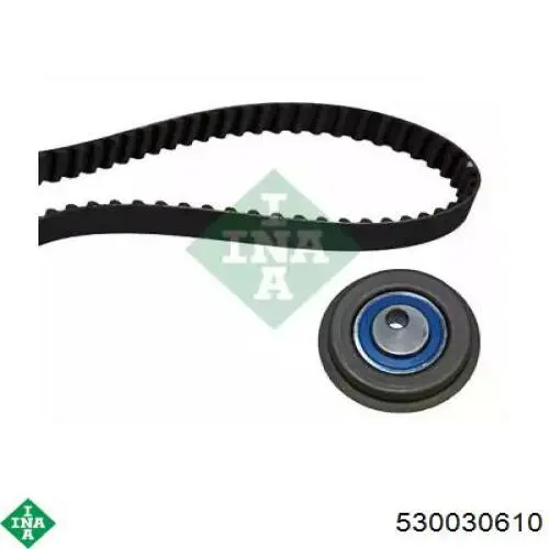 Comprar 530030610 INA Correa del eje de equilibrado