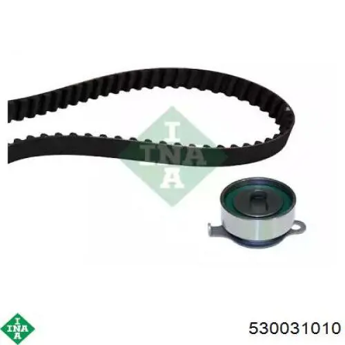Comprar 530031010 INA Kit de correa de distribución
