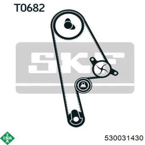 530031430 INA Kit correa de distribución