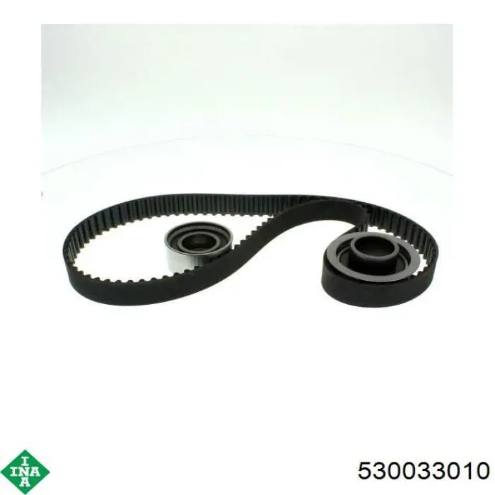 Kit de distribución 530033010 INA