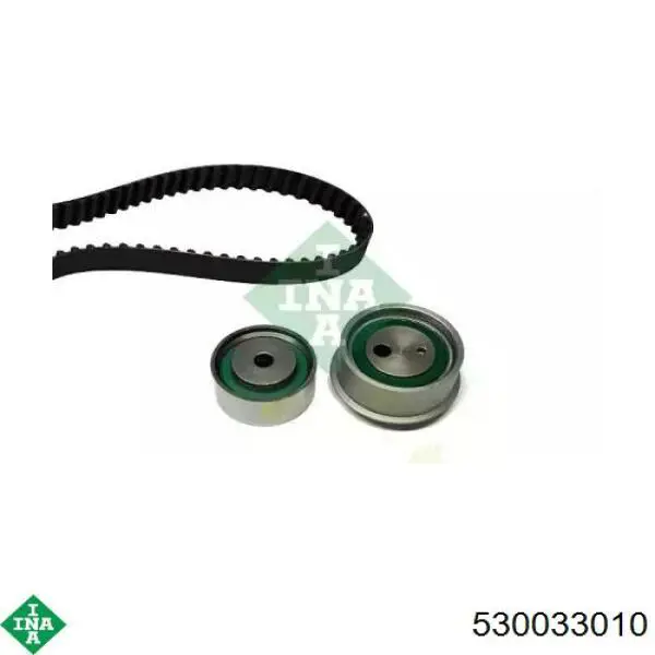 Kit distribución INA 530033010