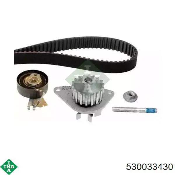 Kit de distribución 530033430 INA