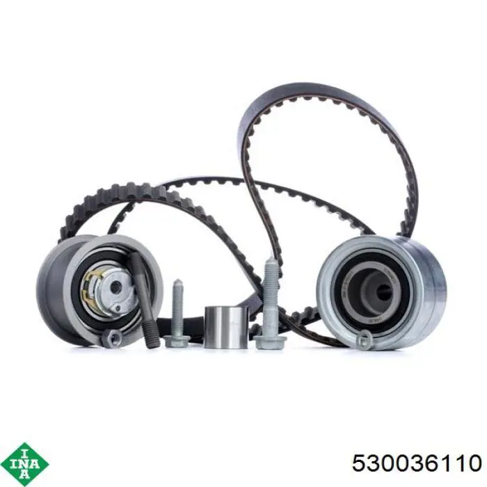 530036110 INA Kit correa de distribución