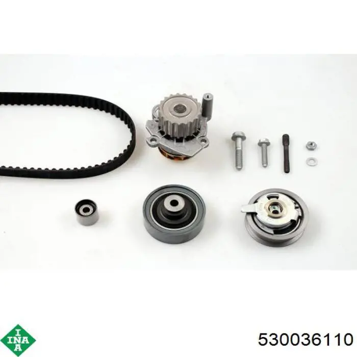 Comprar 530036110 INA Kit de correa de distribución