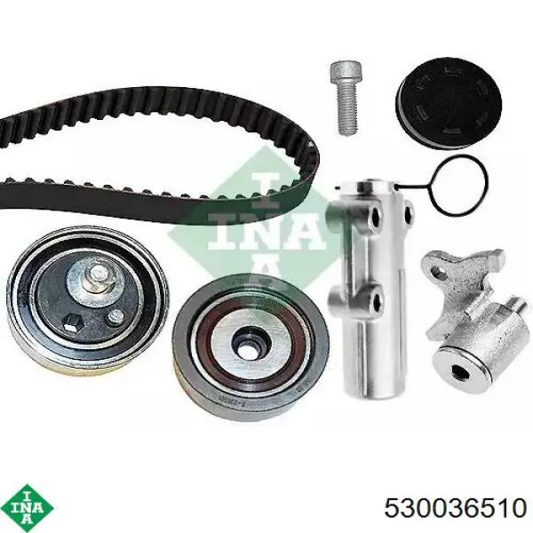 530036510 INA Kit correa de distribución