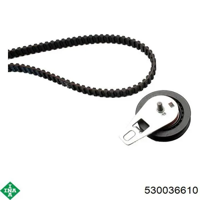 Juego de correas dentadas INA 530036610 precio, desde 272,66 EUR
