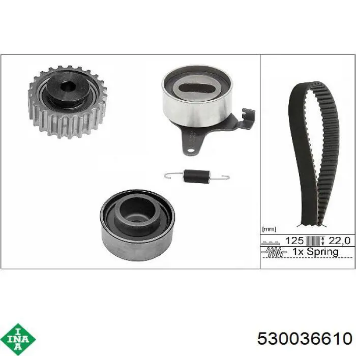 Comprar 530036610 INA Kit de correa de distribución