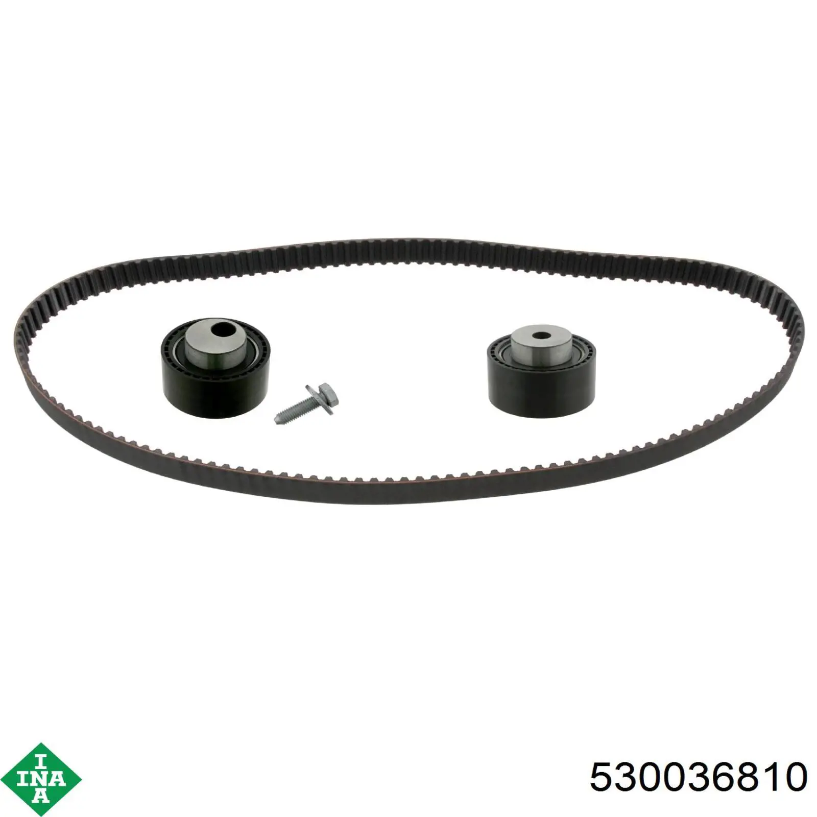 Comprar 530036810 INA Kit de correa de distribución