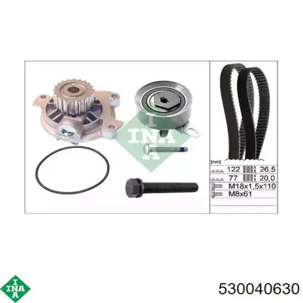 Kit de distribución 530040630 INA