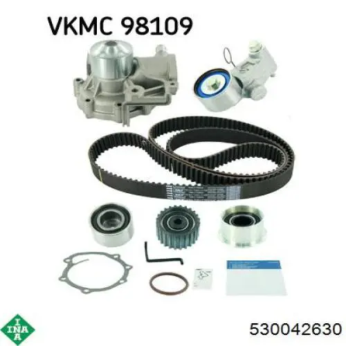530042630 INA Kit correa de distribución