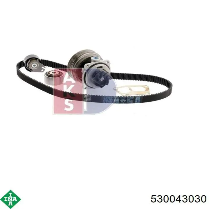 Comprar 530043030 INA Kit de correa de distribución