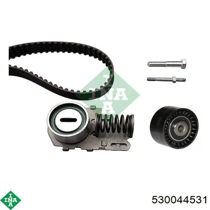 Kit distribución INA 530044531
