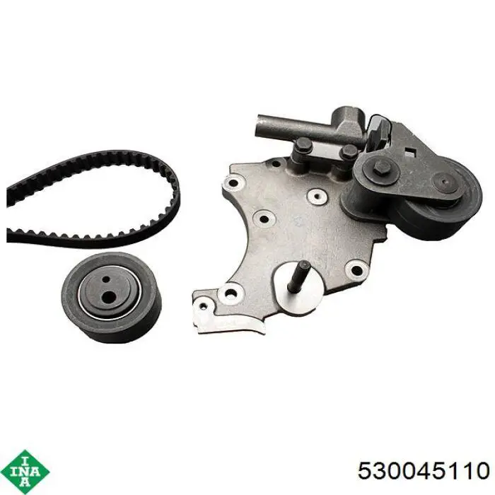 Kit de distribución 530045110 INA