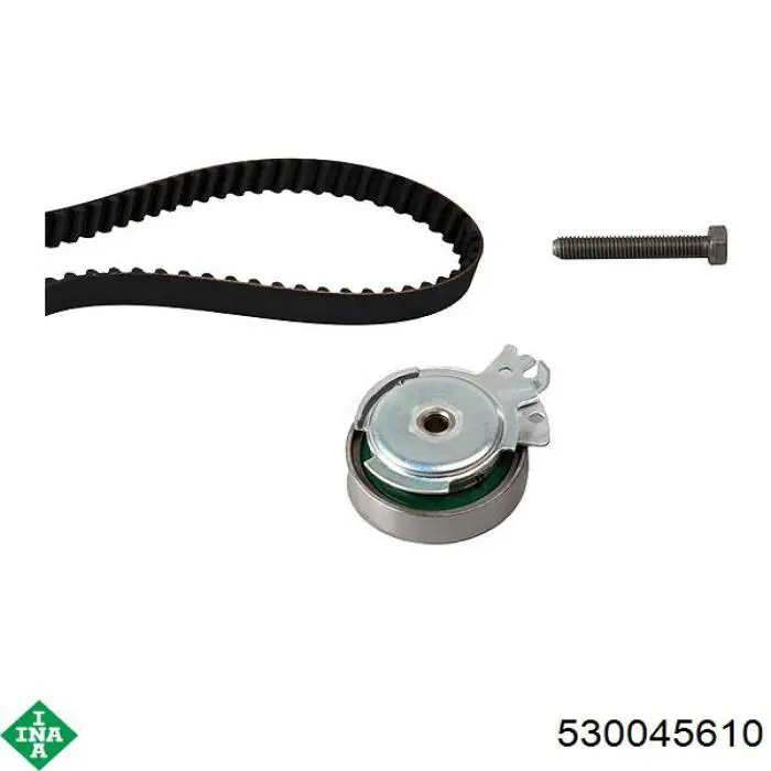 Comprar 530045610 INA Kit de correa de distribución