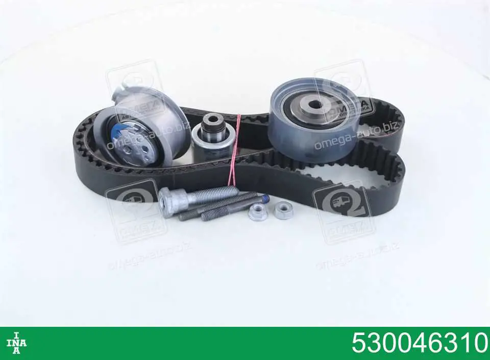 Comprar 530046310 INA Kit de correa de distribución