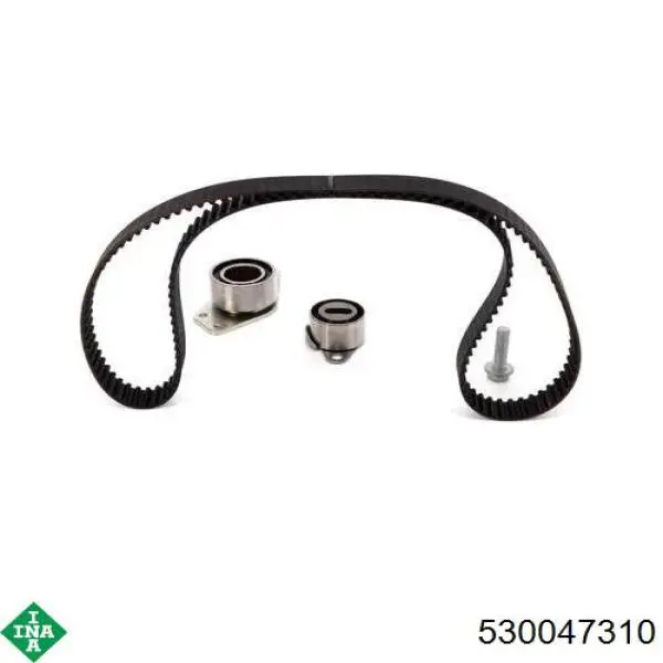 Kit de distribución 530047310 INA