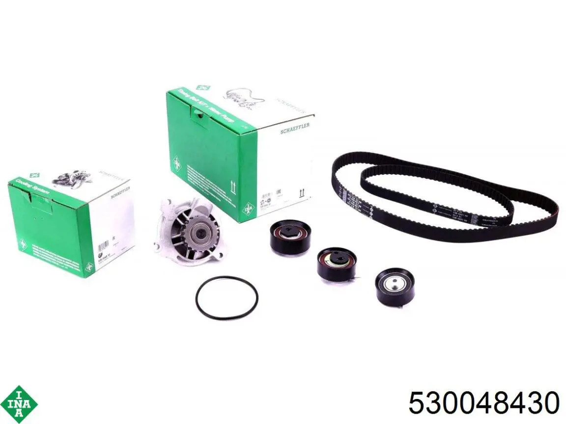 Kit de distribución 530048430 INA