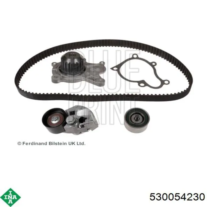 Kit de distribución 530054230 INA
