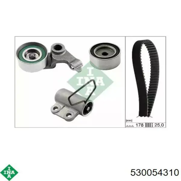 Kit distribución INA 530054310